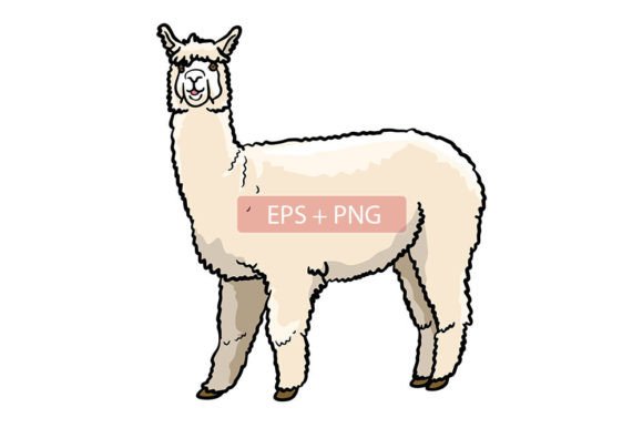 Alpaca Mammals Animal Illustration: A Designer's Guide