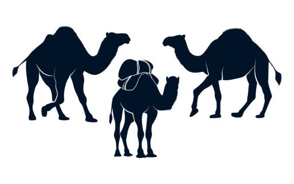 Animal Camel Silhouettes Vector Art: Creative Design Assets