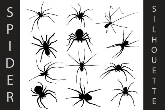 Animal Spider Silhouette: A Designer's Practical Asset