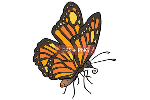 Butterfly Insect Animal Illustration: A Versatile Vector Asset