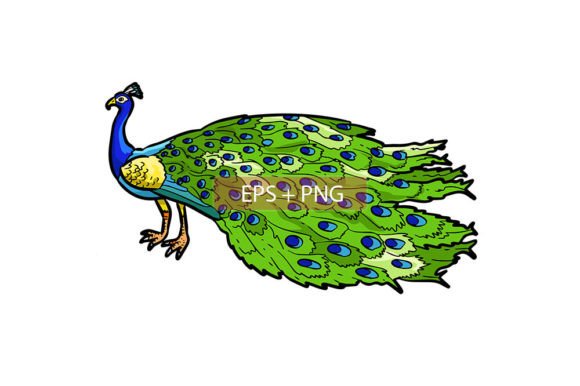 Captivating Peacock Bird Animal Illustration: A Designer’s Asset