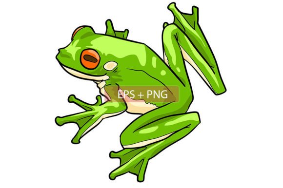 Charming Frog Water Animal Illustration for Creative Projects