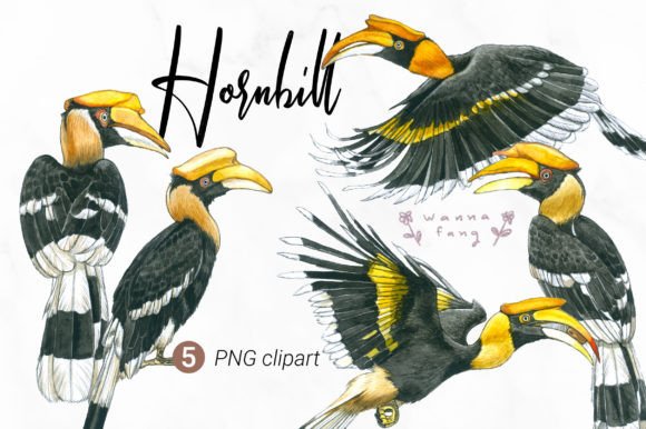 Hornbill Watercolor Animal Clipart, PNG: A Designer's Guide
