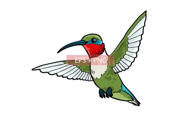 Hummingbird Animal Illustration: A Vibrant Design Asset