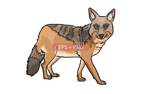 Jackal Mammals Animal Illustration: A Versatile Asset for Modern Projects