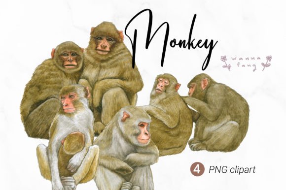 Monkey Watercolor Animal Clipart: Essential Creative Assets