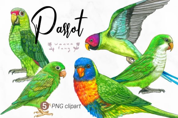 Parrot Watercolor Animal Clipart: A Fresh Take on Tropical Design