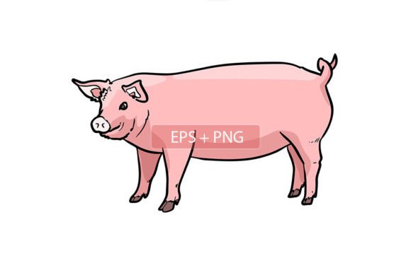 Pig Mammals Animal Illustration: A Playful Design Asset