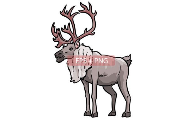 Unlocking the Spirit of the North: Caribou Mammals Animal Illustration
